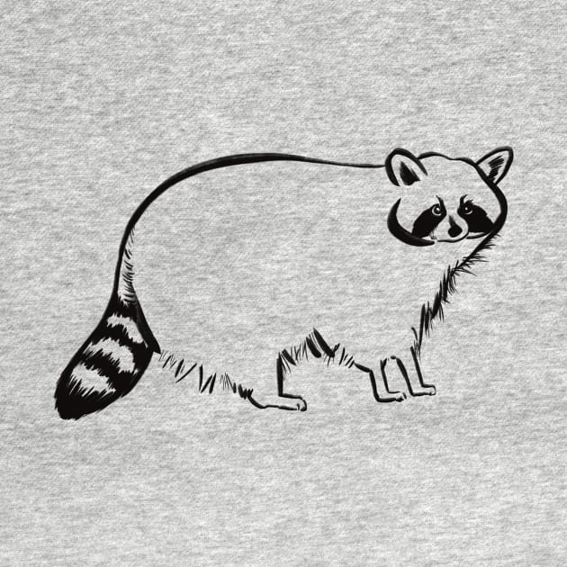 Funny Raccoon by Griffelkinn